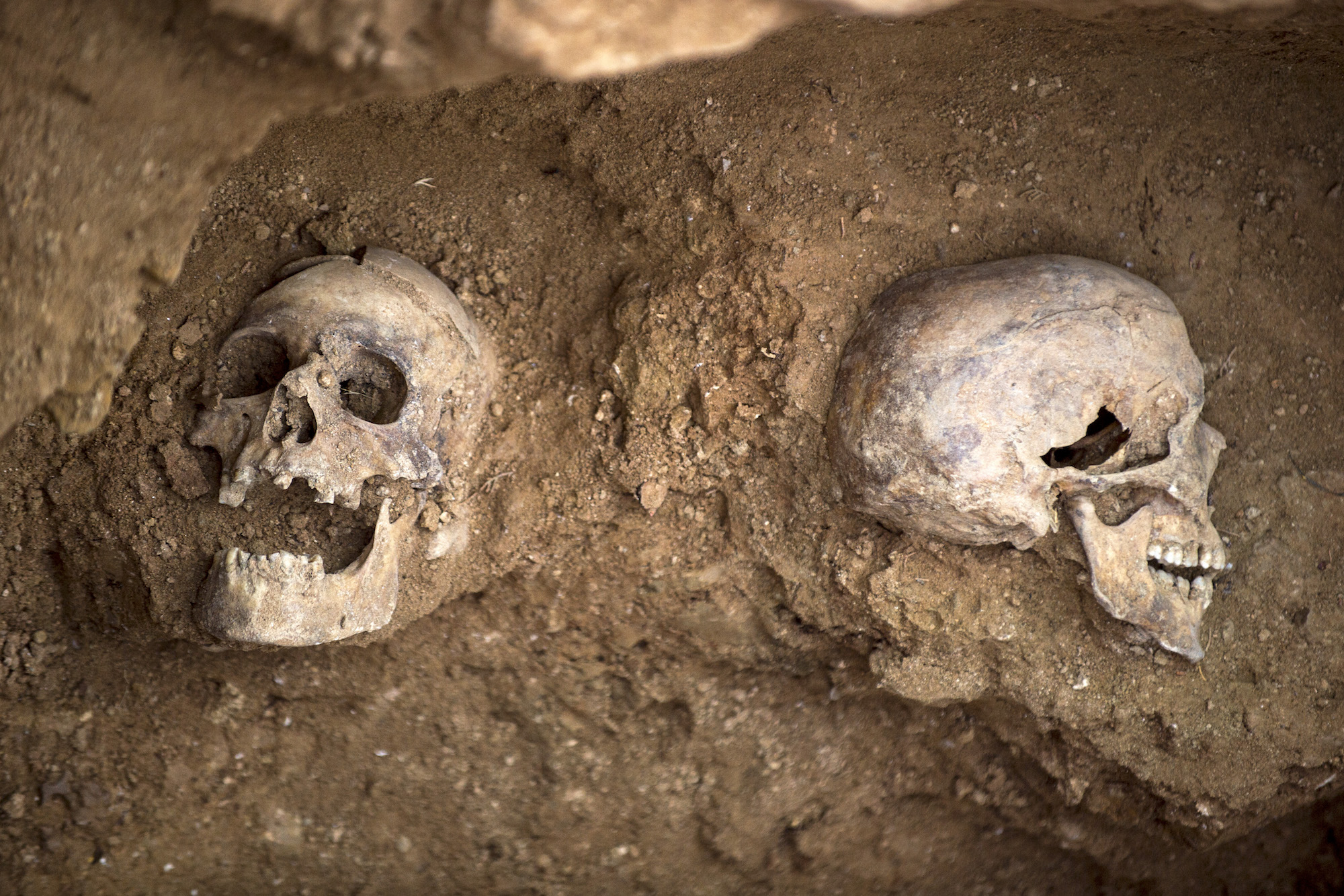 Dos cráneos de represaliados por el franquismo en la fosa número 1 del cementerio de Guadalajara. Foto: Álvaro Minguito.