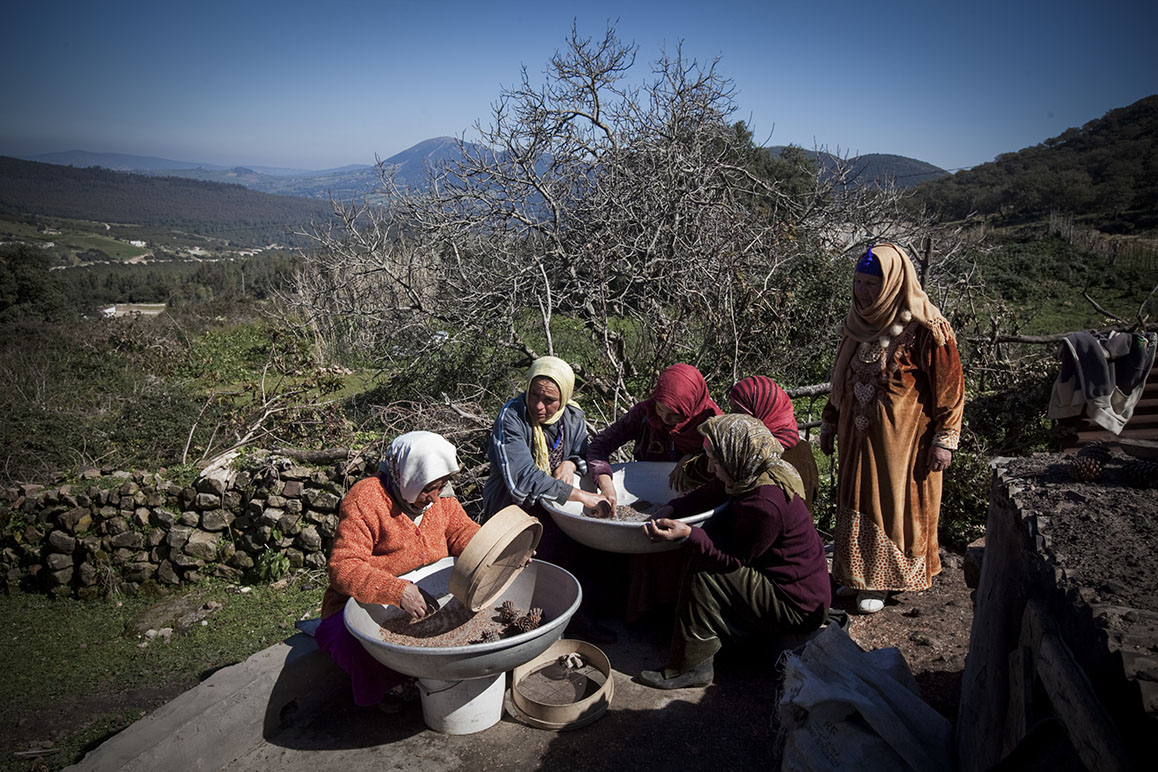 Las otras Berta Cáceres