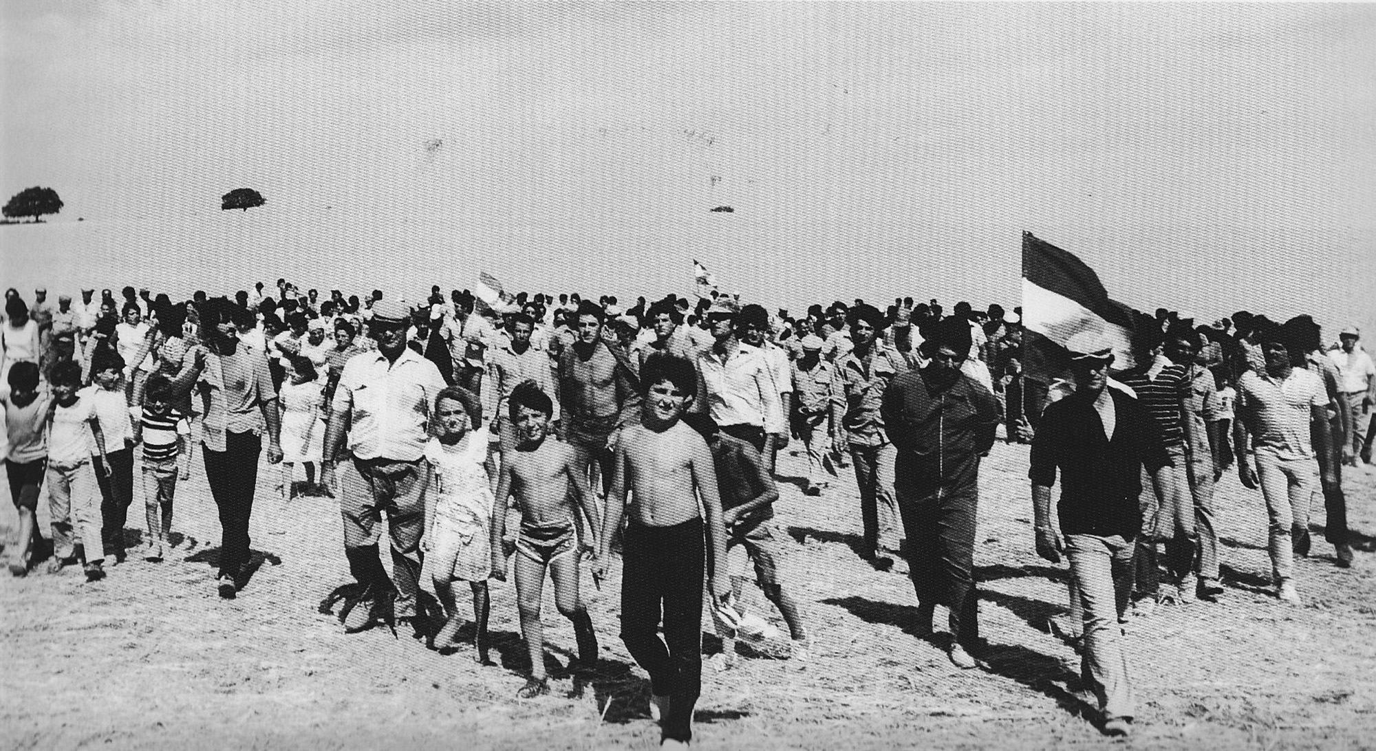 10_1983-finca-navacerrda