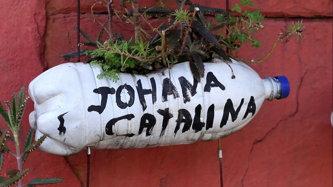 El rap que siembra plantas en Colombia