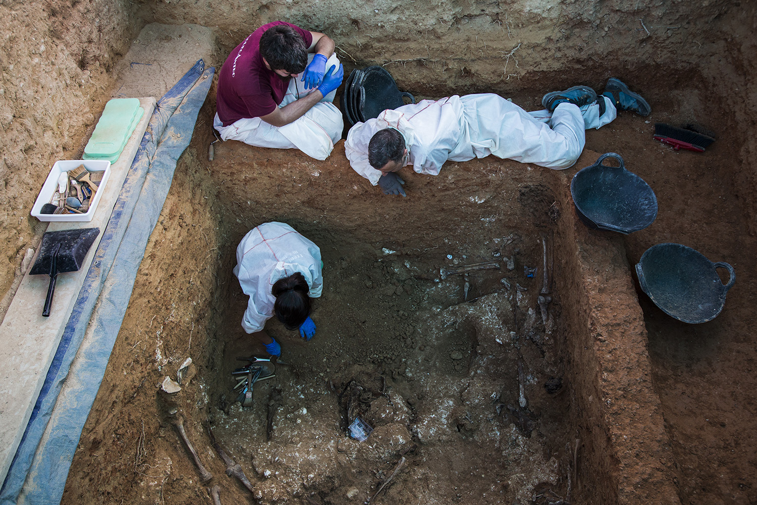 2017_06_01_grande (Fotografía Eva Máñez)                           Hallan los priemros restos de 10 persona sne la Fosa 113  del cementerio de Paterna de represaliados en la dictadura