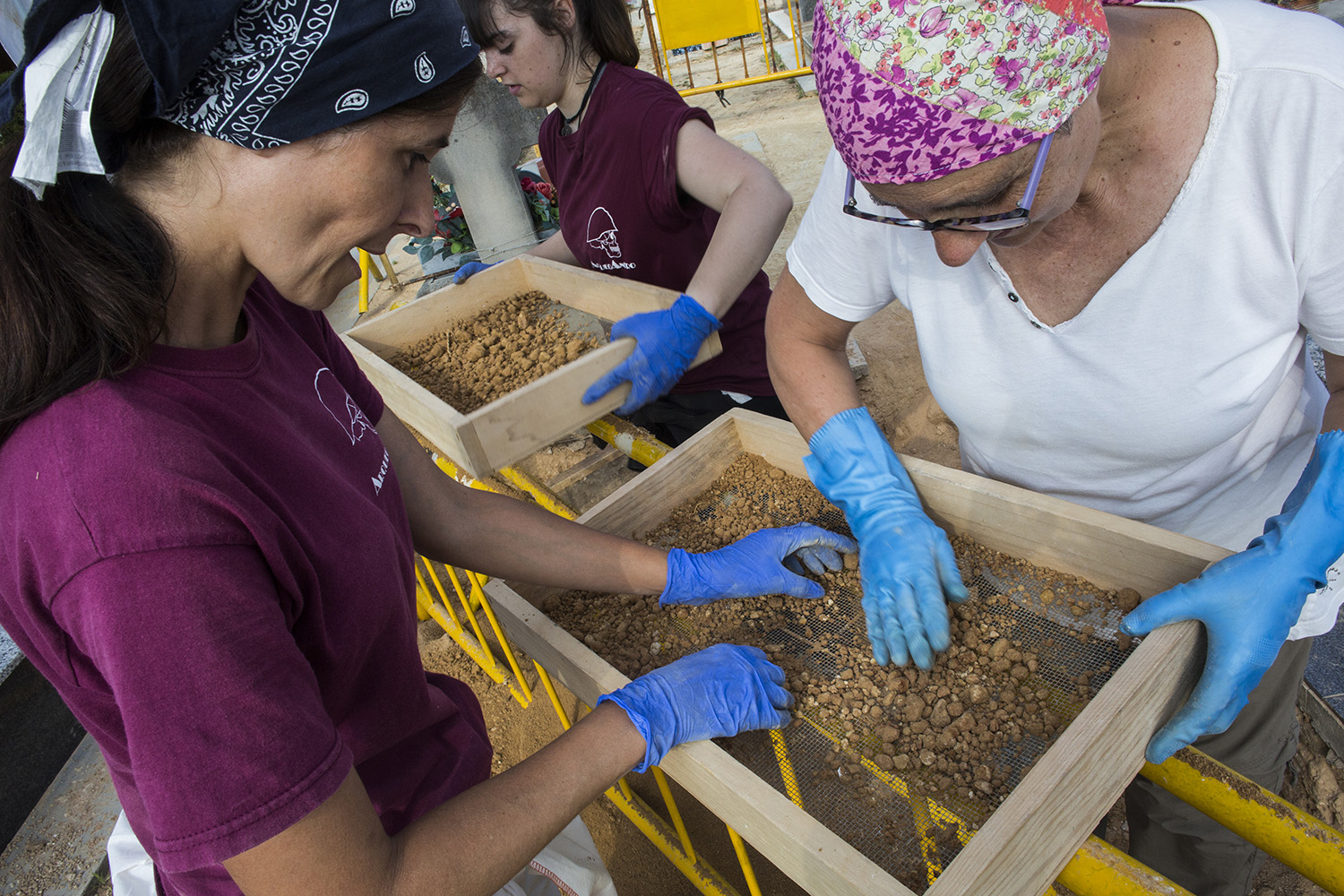 2017_06_01_grande (Fotografía Eva Máñez)                           Hallan los priemros restos de 10 persona sne la Fosa 113  del cementerio de Paterna de represaliados en la dictadura
