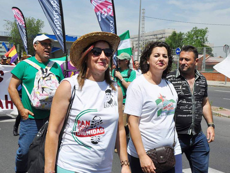 18740168_776531042507307_6170303130388601455_n