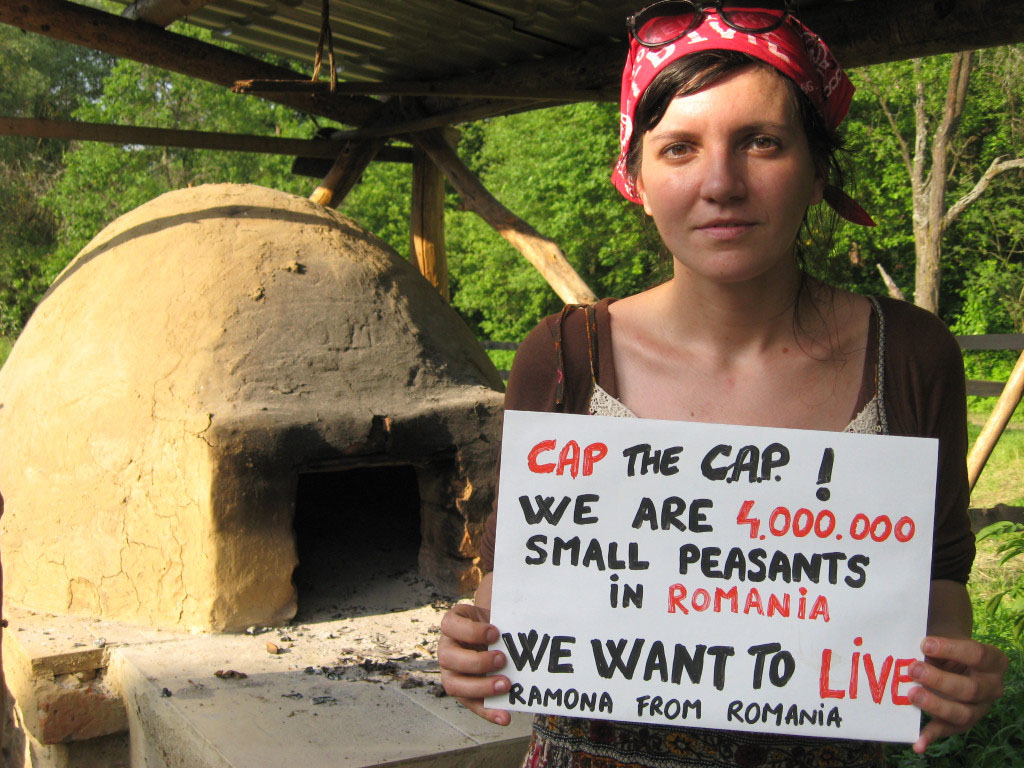 7186761133_4a5c4c703a_k-1024x768