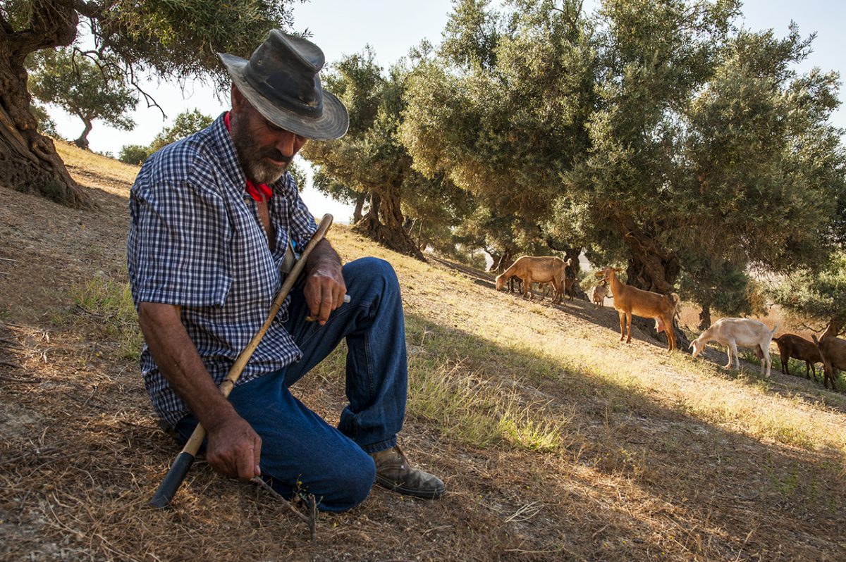 El cantaor sevillano El Cabrero. Foto: Juan Pablo Pereda.